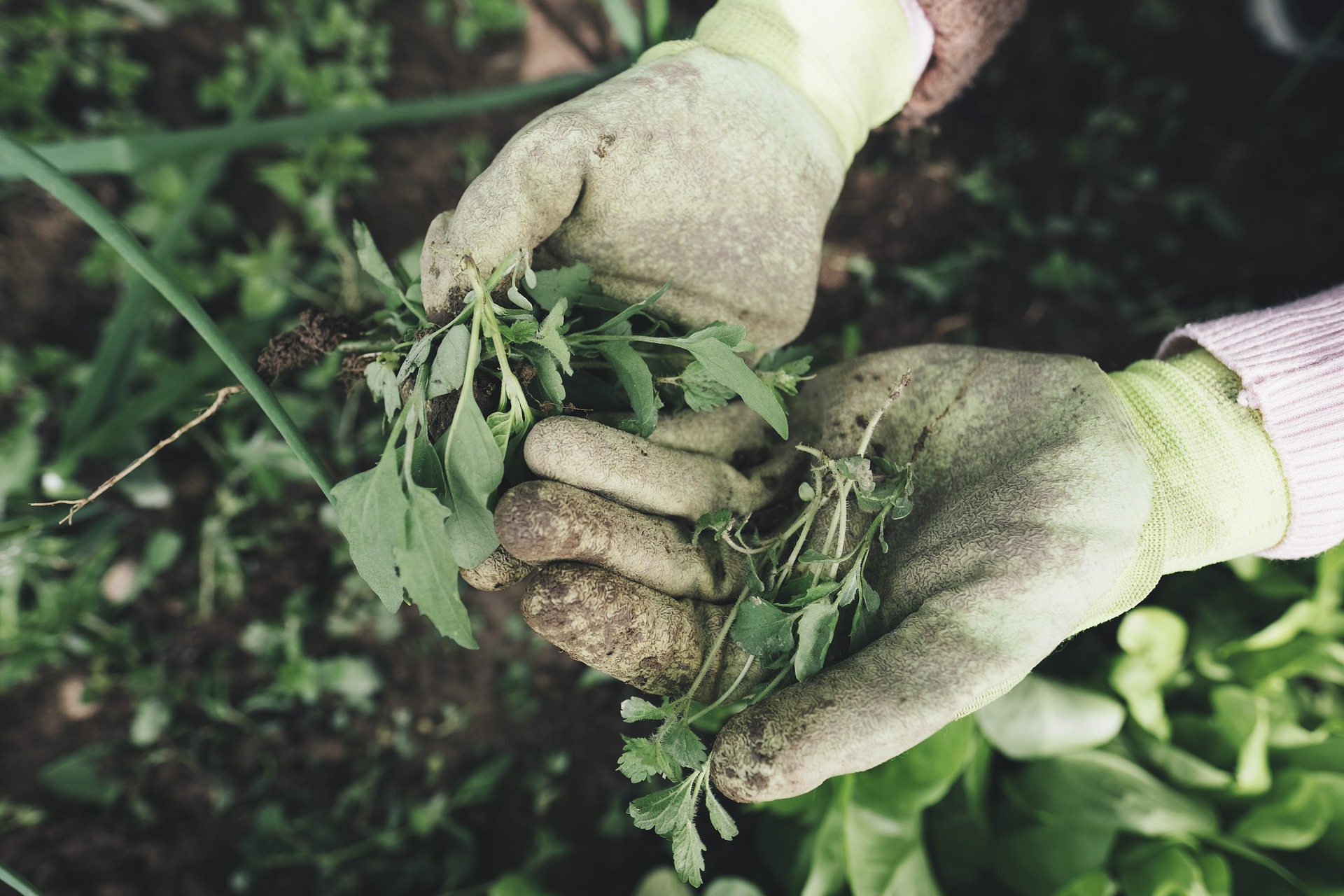 sicurezza sul lavoro in agricoltura