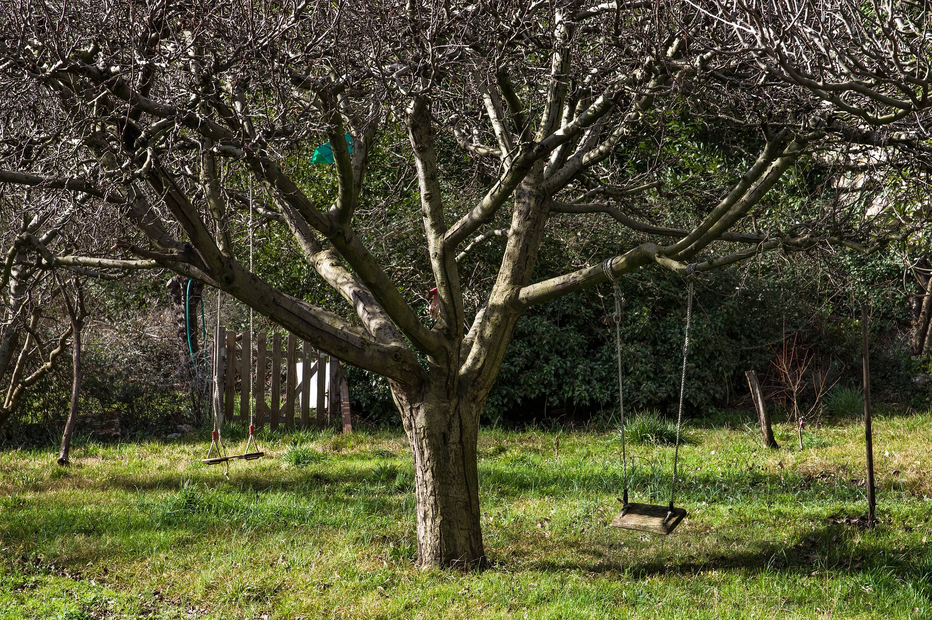 I lavori da fare a dicembre nell'orto. nel frutteto e nel giardino